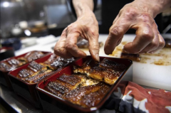 grilled eel