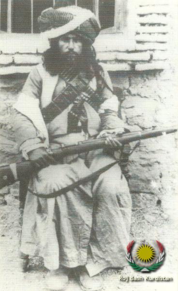 Soldier of the Kingdom of Kurdistan