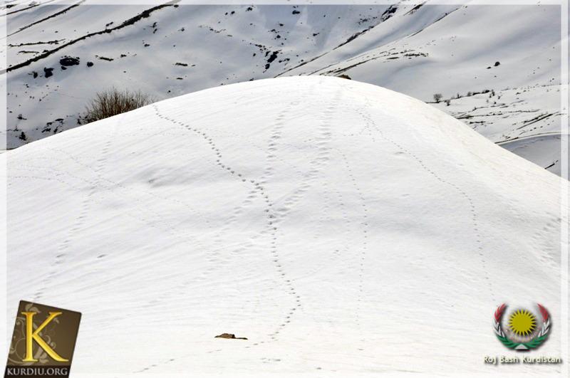 The Beautiful Nature of Kurdistan