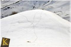 The Beautiful Nature of Kurdistan
